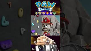 🐾PAW Patrol  Daring Danny X and the Runaway Roller Coaster  Coffin Dance Song coffindance short [upl. by Ulita922]