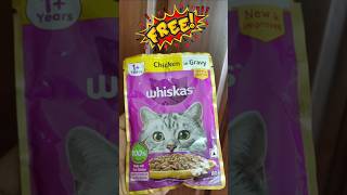 Free WHISKAS Cat Food 🐈 Whiskas Chicken in Gravy Wet food Review [upl. by Suki]