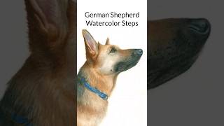 Watercolor GERMAN SHEPHERD Steps [upl. by Anilemrac]