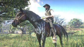 John catches the Warped Brindle Arabian horse  Red Dead Redemption 2 [upl. by Toile]