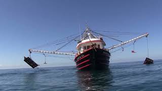 ⚓️¡ASÍ VIVEN LOS PESCADORES EN UN BARCO CAMARONERO [upl. by Euqenimod]