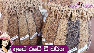 Types of paddy varieties in Sri lanka අපේ රටේ වී වර්ග [upl. by Betthezul]