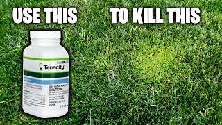 TENACITY HERBICIDE  PRE  POST EMERGENT  HOW TO  APPLICATION GUIDE  KILL CRABGRASS SUPPRESS POA [upl. by Nylevol76]