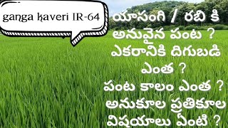 Best paddy seed for rabi  best paddy seed for Yasangi  video1  Telugu paddy cultivation [upl. by Popele]