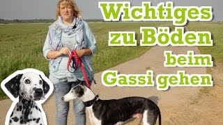 Gassi gehen auf verschiedenen Böden  Das gibt es zu beachten [upl. by Spracklen44]