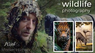 Morten Hilmer New Photography Video Wildlife and Nature photography anime wildlifephotography [upl. by Tezil]