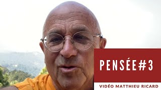 Pensée 3  La liberté intérieure  Matthieu Ricard [upl. by Landsman819]