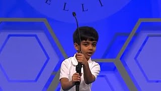 Adorable 6 Years old Akash  Scripps National Spelling Bee 2016  Round 2 [upl. by Ayimat]