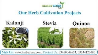 Herbal Farming in Pakistan by Herbyzone Pvt Ltd [upl. by Valsimot]