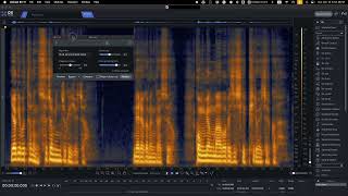 Game character voice editing on Pro Tools with RX Soundflow [upl. by Alikee969]