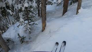 Crested Butte Double Top Glades [upl. by Geordie]