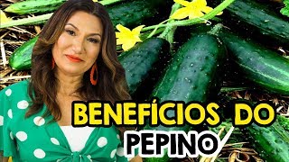 OS BENEFÍCIOS DO PEPINO  PEPINO COMO E QUANDO COMER [upl. by Ymrots]