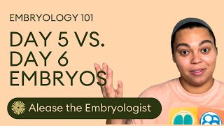 Embryo Grades and Success Rates  Day 5 vs Day 6 Embryos  Dandi Fertility [upl. by Ellekram913]