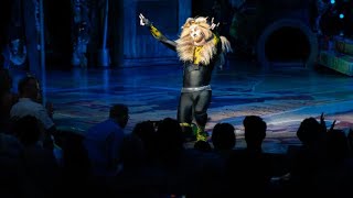 CATS  The Rum Tum Tugger  Oasis of The Seas  Jarrad Biron Green [upl. by Hayikaz]