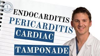 PANCE Review Endocarditis Pericarditis amp Cardiac Tamponade – Key Facts You Need to Know [upl. by Nero706]