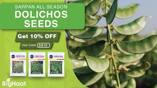 All Season Dolichos Seeds  BigHaat [upl. by Okime]