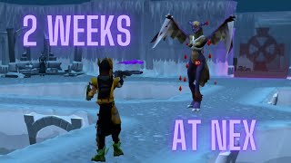 I Camped Nex for 2 Weeks [upl. by Ailedamla]