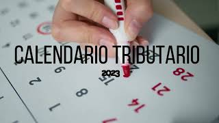 Calendario Tributario 2023 [upl. by Aveline]