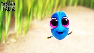 alla ricerca di nemo trailer ita [upl. by Hedy]