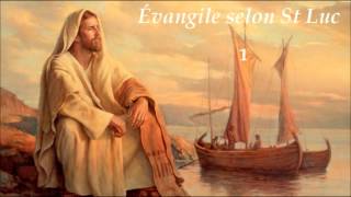 BIBLE Audio Évangile selon Saint Luc ✥ Le Nouveau Testament lu [upl. by Lizned]