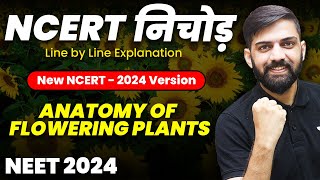 NCERT निचोड़ Anatomy of Flowering Plants  NCERT Biology Line by Line Explanation for NEET 2024 [upl. by Lednek]