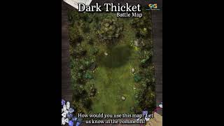 Dark Thicket  How would you use this map [upl. by Ailaza]