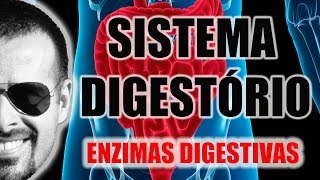 Sistema Digestório  Enzimas digestivas e processos químicos da digestão  Anatomia  VideoAula 026 [upl. by Assirem]