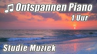 PIANO Instrumentale 1 uur Klassieke Muziek voor Studeren Afspeellijst Mooie Ontspannende Sudie lied [upl. by Carmella]