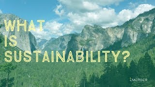 Sustainability 101 What is Sustainability [upl. by Deanna]