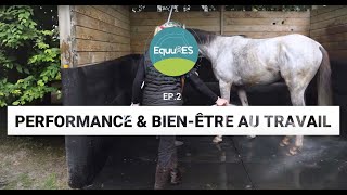 Websérie EquuRES Bienêtre au travail EP 02  Performance et bienêtre au travail [upl. by Henryson]