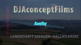 Rundflug Region Seengen  Hallwilersee [upl. by Coppins]