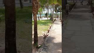 VRclub Sun Palm Beach Resort Kenya Watamu [upl. by Toddie]