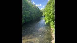 Beaverkill river in roscoe NY trout fishing troutbum [upl. by Alyahs]