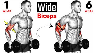 7 BEST Exercises for WIDER BICEPS [upl. by Lucchesi]