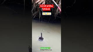 FIRST TIME గలానికి తాబేలు పాడింది🐢😱fishing fish villagevlog tortoise fishing tips ytshorts [upl. by Gosney]