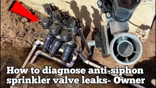 How to Diagnose an Antisiphon Sprinkler Valve Leak Easy You Must Know [upl. by Onaivlis93]