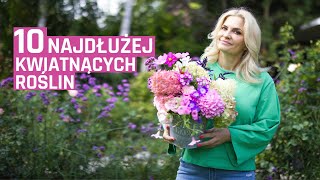 10 najdłużej kwitnących roślin w ogrodzie [upl. by Durgy]