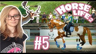 🔴UM LINDO CERVO amp A TRISTE PROVA REGIONAL5  horse life 2 [upl. by Ennelram937]