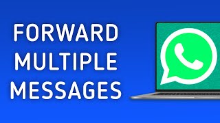 How to forward multiple messages in whatsapp web [upl. by Tutt]