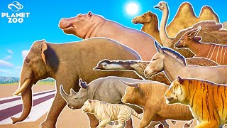 100 Animals Ultimate Running Race in Tropical Forest Included Extinct Animals🐷  Planet Zoo 🦁 [upl. by Ahcarb149]