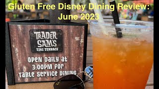 Gluten Free Disney Dining Review Trader Sams Tiki Terrace  June2023 [upl. by Holtz580]