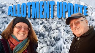 Allotment Catch Up  UPDATE NOVEMBER 2024 [upl. by Sirtaeb185]