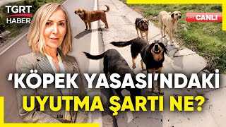 CANLI  Sokak Köpekleri Yasası Ne Getiriyor Uyutma Hangi Şartlarda Yapılacak – TGRT Haber [upl. by Bakki]