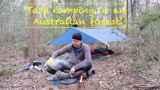 Tarp camping in an Australian forest [upl. by Scrivens]