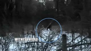 This Bigfoot Sighting Was a Family Affair  The Best Bigfootage [upl. by Adnoryt345]