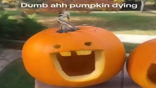 memes that make you PUMPKIN [upl. by Blanche430]