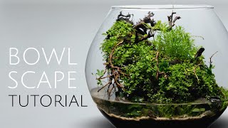 Bowl Scape  Tutorial [upl. by Pacian]