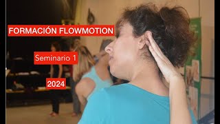 Formación flowmotion Seminario 1 [upl. by Topping]