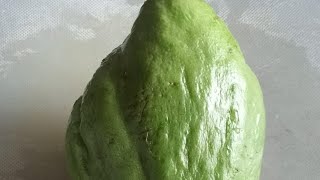 Osang Raketera is live Peel and cutting Sayote Vegetable peel cutting sayote vegetable [upl. by Malinowski308]