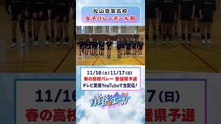 春高バレー2024意気込み動画 [upl. by Yevad]